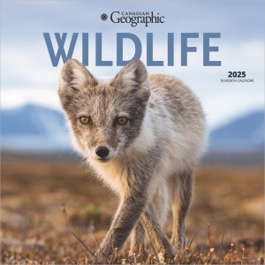 Canadian Geographic Wildlife OFFICIAL | 2025 12 x 24 Inch Monthly Square Wall Calendar