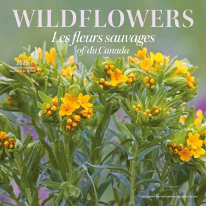 Wildflowers of Canada | Les fleurs sauvages du Canada | 2025 12 x 24 Inch Monthly Square Wall Calendar | English/French Bilingual