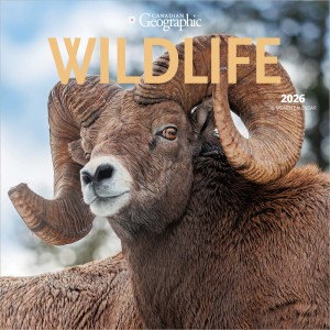 Canadian Geographic Wildlife OFFICIAL | 2026 7 x 14 Inch (Hanging) Monthly Mini Wall Calendar