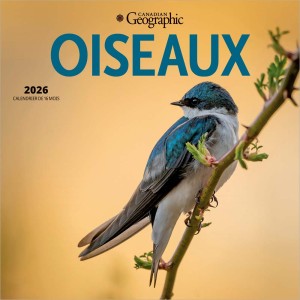 Canadian Geographic Oiseaux OFFICIEL | 2026 7 x 14 Inch (Hanging) Monthly Mini Wall Calendar | French Language