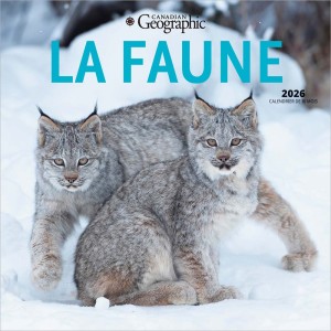 Canadian Geographic La faune OFFICIEL | 2026 12 x 24 Inch (Hanging) Monthly Square Wall Calendar | French Language