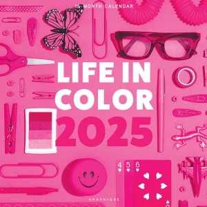 Life in Color | 2025 12 x 24 Inch Monthly Square Wall Calendar