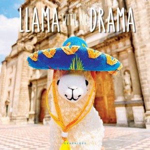 Llama with no Drama | 2025 12 x 24 Inch Monthly Square Wall Calendar