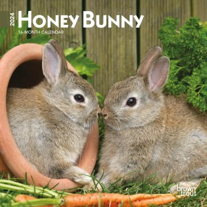 Honey Bunny | 2024 7 x 14 Inch Monthly Mini Wall Calendar