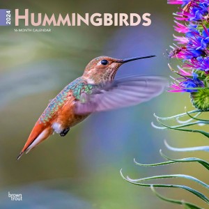 Hummingbirds | 2024 12 x 24 Inch Monthly Square Wall Calendar | Foil Stamped Cover