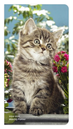 Kitten Cuddles | 2024-2025 3.5 x 6.5 Inch Two Year Monthly Pocket Planner