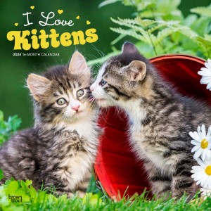 I Love Kittens | 2024 12 x 24 Inch Monthly Square Wall Calendar