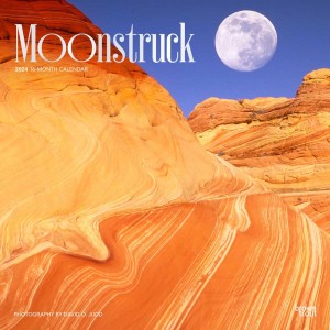 Moonstruck | 2024 12 x 24 Inch Monthly Square Wall Calendar | Foil Stamped Cover
