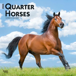 Quarter Horses | 2024 12 x 24 Inch Monthly Square Wall Calendar