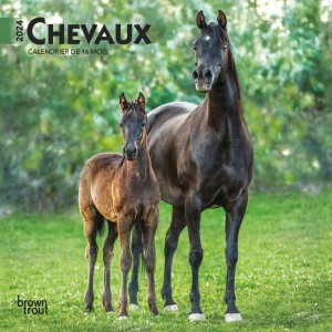 Chevaux | 2024 7 x 14 Inch Monthly Mini Wall Calendar | French Language