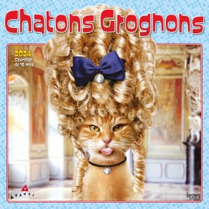 Avanti Chatons Grognons | 2024 12 x 24 Inch Monthly Square Wall Calendar | French Language