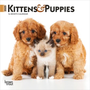 Kittens & Puppies | 2025 7 x 14 Inch Monthly Mini Wall Calendar