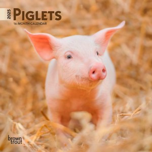 Piglets | 2025 7 x 14 Inch Monthly Mini Wall Calendar