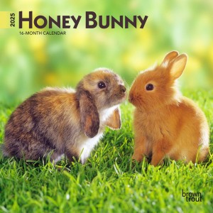 Honey Bunny | 2025 7 x 14 Inch Monthly Mini Wall Calendar