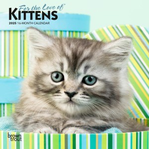 For the Love of Kittens | 2025 7 x 14 Inch Monthly Mini Wall Calendar