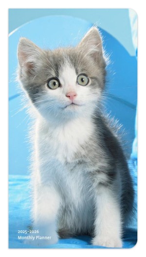 Kitten Cuddles | 2025-2026 3.5 x 6.5 Inch Two Year Monthly Pocket Planner