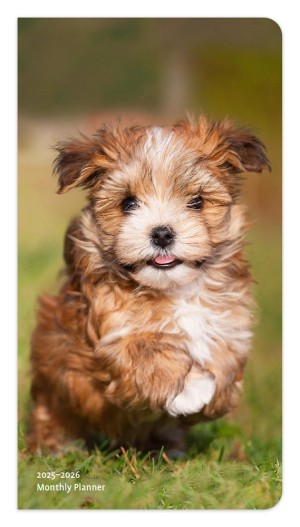 I Love Puppies | 2025-2026 3.5 x 6.5 Inch Two Year Monthly Pocket Planner
