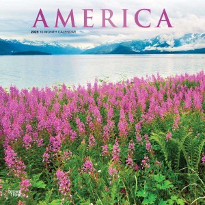 America | 2025 12 x 24 Inch Monthly Square Wall Calendar | Foil Stamped Cover