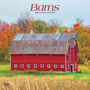 Barns | 2025 12 x 24 Inch Monthly Square Wall Calendar