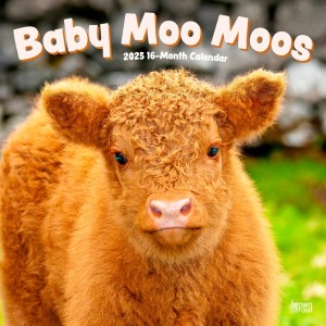 Baby Moo Moos | 2025 12 x 24 Inch Monthly Square Wall Calendar