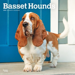 Basset Hounds | 2025 12 x 24 Inch Monthly Square Wall Calendar