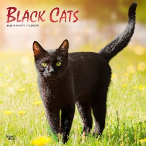 Black Cats | 2025 12 x 24 Inch Monthly Square Wall Calendar | Foil Stamped Cover