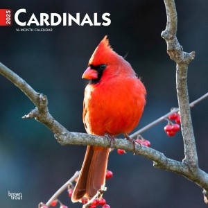 Cardinals | 2025 12 x 24 Inch Monthly Square Wall Calendar