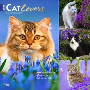 Cat Lovers | 2025 12 x 24 Inch Monthly Square Wall Calendar | Foil Stamped Cover