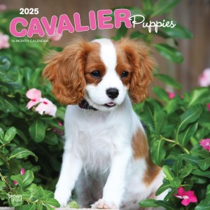 Cavalier King Charles Spaniel Puppies | 2025 12 x 24 Inch Monthly Square Wall Calendar