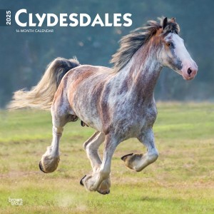 Clydesdales | 2025 12 x 24 Inch Monthly Square Wall Calendar | Plastic-Free