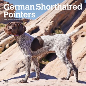 German Shorthaired Pointers | 2025 12 x 24 Inch Monthly Square Wall Calendar