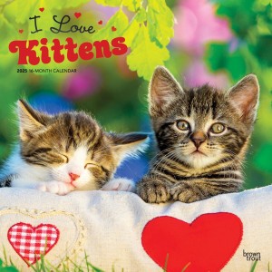 I Love Kittens | 2025 12 x 24 Inch Monthly Square Wall Calendar