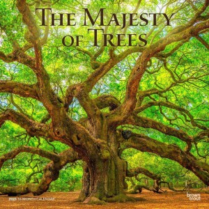 The Majesty of Trees | 2025 12 x 24 Inch Monthly Square Wall Calendar