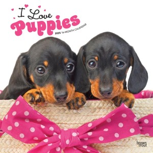 I Love Puppies | 2025 12 x 24 Inch Monthly Square Wall Calendar