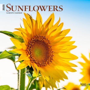 Sunflowers | 2025 12 x 24 Inch Monthly Square Wall Calendar