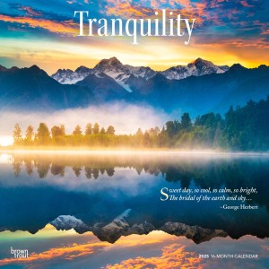 Tranquility | 2025 12 x 24 Inch Monthly Square Wall Calendar