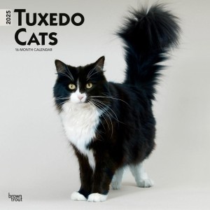 Tuxedo Cats | 2025 12 x 24 Inch Monthly Square Wall Calendar