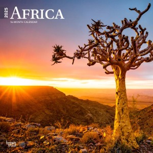 Africa | 2025 12 x 24 Inch Monthly Square Wall Calendar