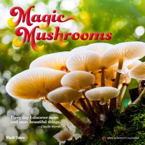 Magic Mushrooms | 2025 12 x 24 Inch Monthly Square Wall Calendar