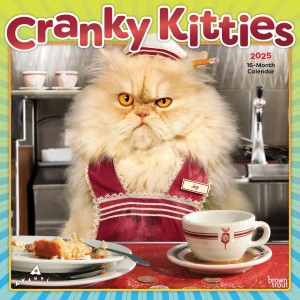 Avanti Cranky Kitties OFFICIAL | 2025 12 x 24 Inch Monthly Square Wall Calendar | Foil Stamped Cover