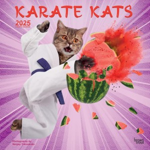 Karate Cats OFFICIAL | 2025 12 x 24 Inch Monthly Square Wall Calendar