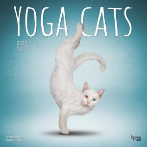 Yoga Cats OFFICIAL | 2025 12 x 24 Inch Monthly Square Wall Calendar