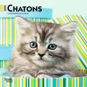 Chatons | 2025 7 x 14 Inch Monthly Mini Wall Calendar | French Language