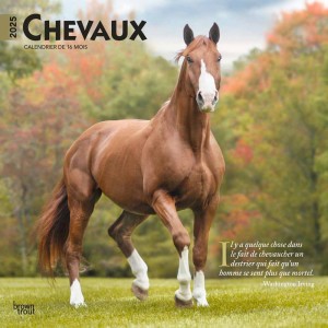 Chevaux | 2025 12 x 24 Inch Monthly Square Wall Calendar | French Language