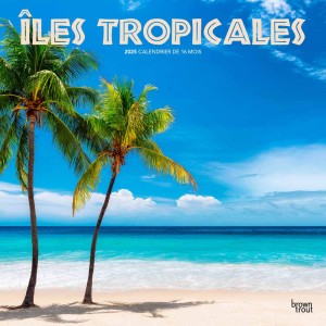 Îles Tropicales | 2025 12 x 24 Inch Monthly Square Wall Calendar | French Language