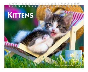 Kittens | 2025 7.5 x 6 Inch Monthly Double-View Easel Desk Calendar