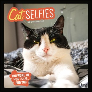 Cat Selfies | 2026 12 x 24 Inch (Hanging) Monthly Square Wall Calendar