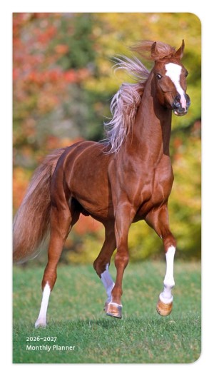 Horse Lovers | 2026-2027 3.5 x 6.5 Inch Two Year Monthly Pocket Planner Calendar