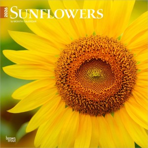 Sunflowers | 2026 12 x 24 Inch (Hanging) Monthly Square Wall Calendar