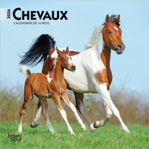 Chevaux | 2026 7 x 14 Inch (Hanging) Monthly Mini Wall Calendar | French Language